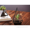 Mặt bàn bằng kính Terrarium Lantern rõ ràng hình học